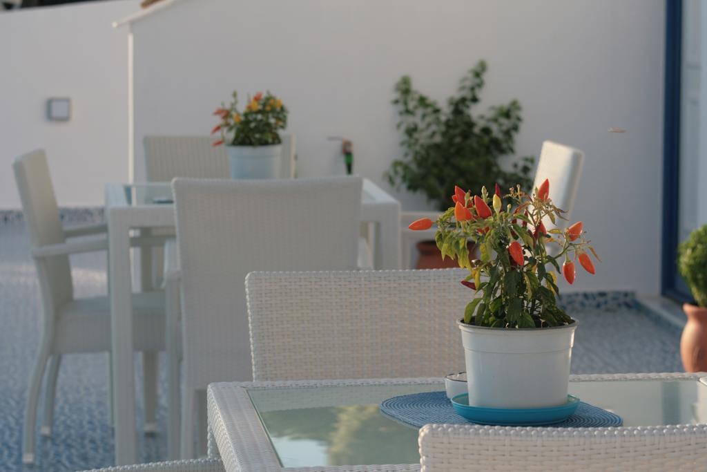 Bouganville Stegna Apartment *