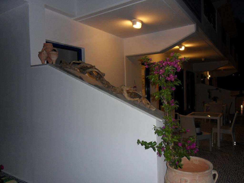 Bouganville Stegna Apartment