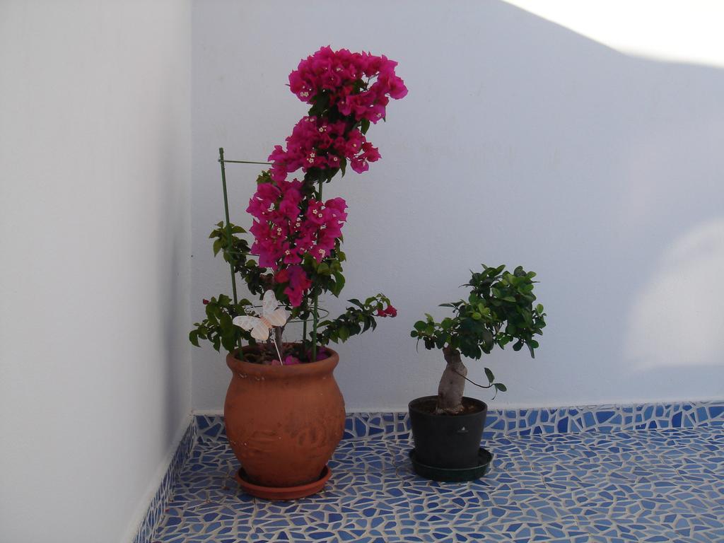 Apartment Bouganville Stegna *