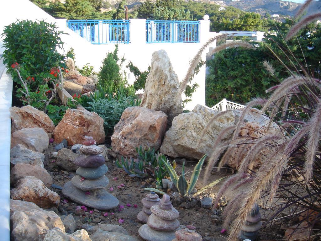 Bouganville Stegna
