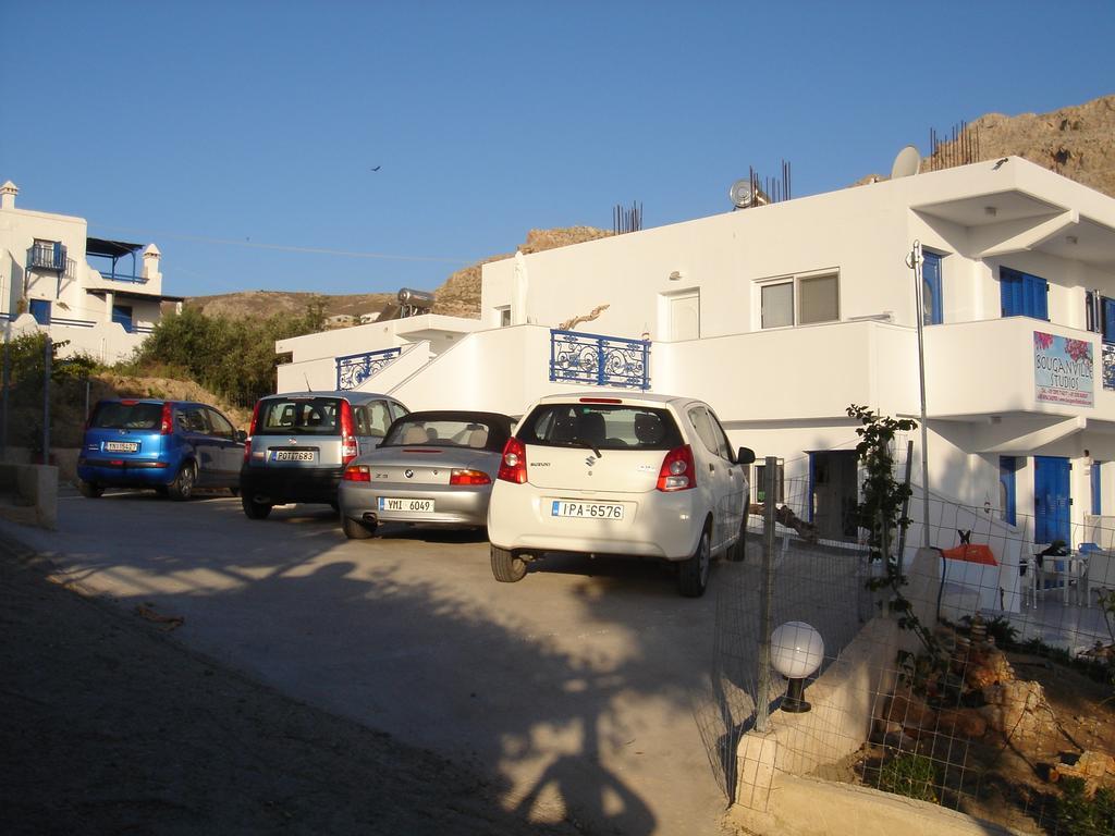 Bouganville Stegna
