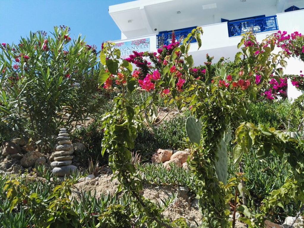 Bouganville Stegna Apartment *