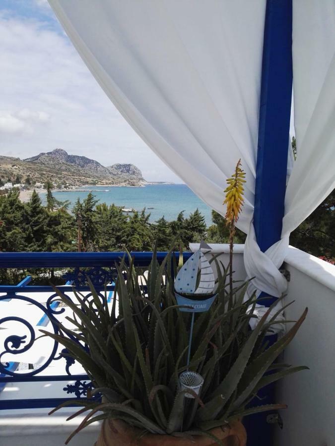 Bouganville Stegna *